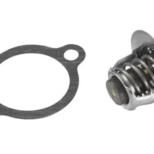Termostat, płyn chłodzący BORGWARNER BERU 410228.82D Ekspresowa dostawa