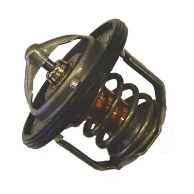 Niska cena Termostat, płyn chłodzący BORGWARNER (WAHLER) 410230.78D