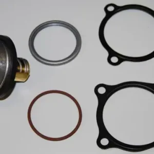 Bezpieczna płatność Termostat, płyn chłodzący BORGWARNER BERU 410608.86D