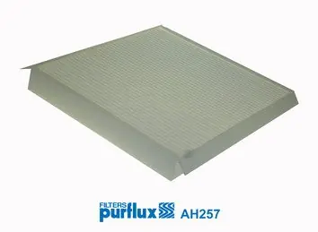 Filtr powietrza kbinowy PURFLUX AH257 Rabat